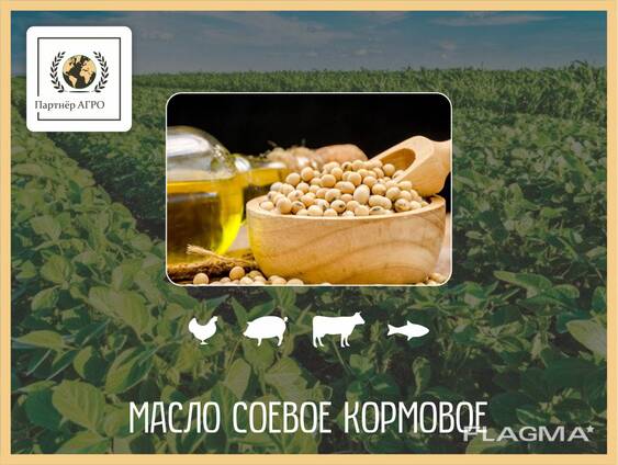 Масло соевое кормовое в Астане