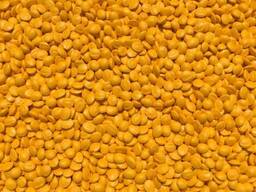 Мастербатч желтый (Polycolor Yellow 04017 W)