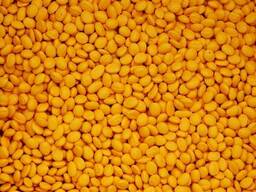 Мастербатч желтый ( Polycolor Yellow 04057)