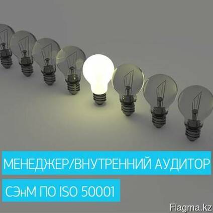 Онлайн-курс "Менеджер / Внутренний аудитор СЭнМ по ISO 50001:2018"