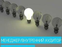 Онлайн-курс "Менеджер / Внутренний аудитор СЭнМ по ISO 50001:2018"