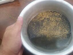 Местоположение россыпного золота в Алматинской области