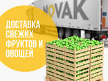 Международные автомобильные грузоперевозки Беларусь - Казахстан - Беларусь - фото 1
