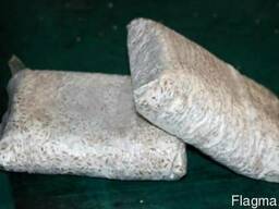 Мицелий грибов вешенки (вешенка)