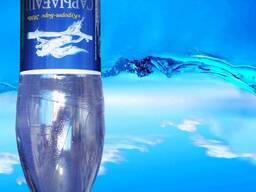 Минеральная вода "Сарыагаш"