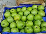 Молдавские яблоки на Павлодар - фото 1