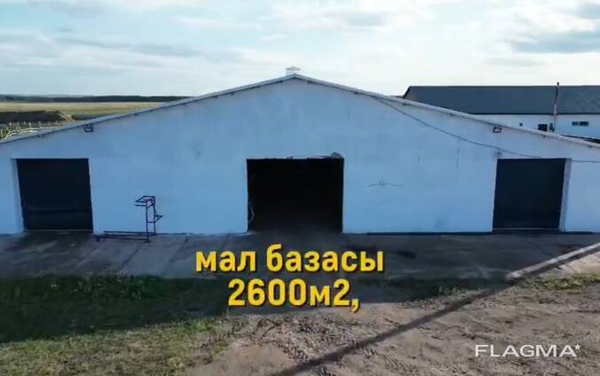 Молочно-товарная ферма в Акмолинской области