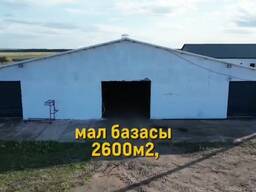 Молочно-товарная ферма в Акмолинской области