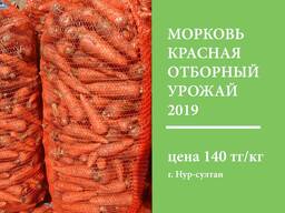 Морковь Красная, оптом со склада