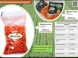 Морковь мытая фасованная 1кг и 18 кг производства РБеларусь