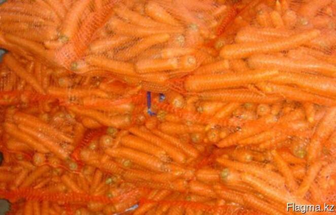 Морковь оптом