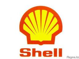 Моторное масло Shell