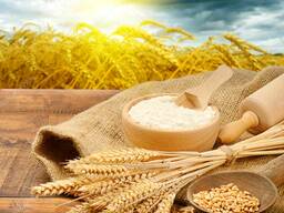 Мука оптом от производителя от 130 тг.