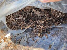 Мульча из коры сосны