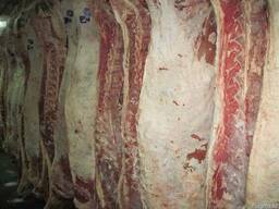 Опт Мясо корова говядина свежемороженное Алматы