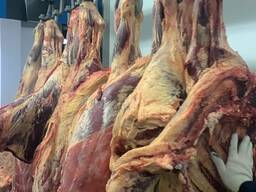 Мясо говядины