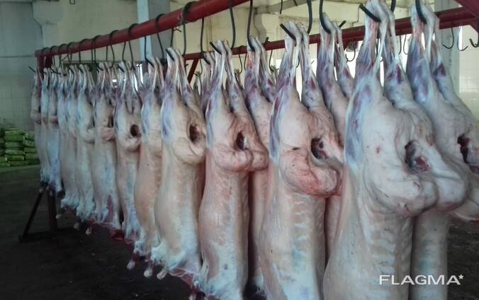 Купить Баранину В Ставропольском Крае