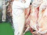 Мясо Баранины на Иран - photo 2