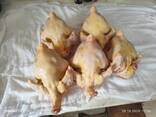Мясо домашний курицы - фото 5