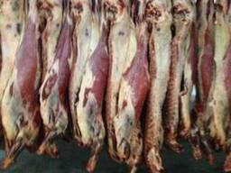 Мясо Говядина 1-я Категория полутуши, Блочная говядина.