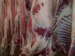 Мясо говядина