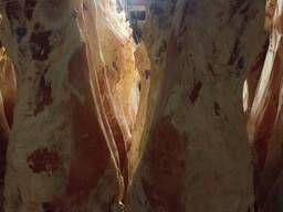 Мясо говядина