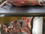 Мясо говядина баранина курица индейка утка - фото 2