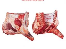 Мясо говядина - передняя часть туши коровы 1 категории