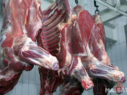 Мясо говядины (1 категории, говядины, бык).