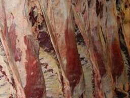 Мясо говядины