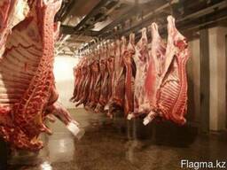 Мясо Говядины