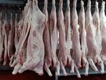 Мясо оптом - фото 3