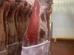 Мясо говядины