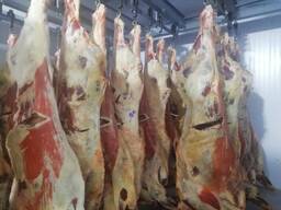 Мясо говядины оптом