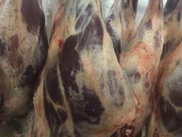 Мясо быков с откорма