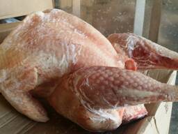 Мясо индейки