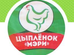 Мясо курицы