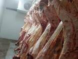 Мясо замороженной говядины на кости 1 категории - фото 1