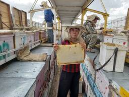 Пчелы, пчелопакеты