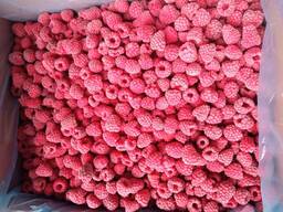 Жалаңаш тазалау порносын қараңыз