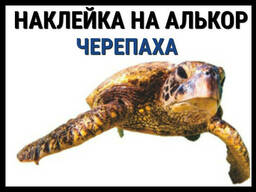 Наклейка Черепаха на алькорплан ( ПВХ пленка)