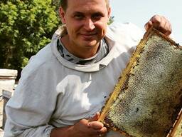 Натуральный мёд с ВКО оптом от 30 кг