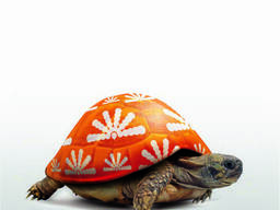 Нейтрализатор микотоксинов "КлинФид"