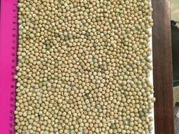 Нут 5 плюс ( мелкий)