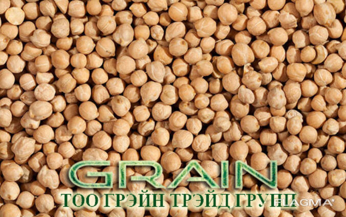 Нут оптом в мешках. Нут мешок 10 кг. Нут 6+. Нут 7. Нут калиброванный.