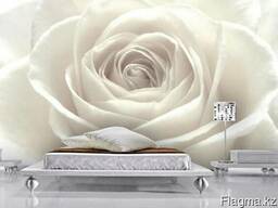 Обои с вашим изображением