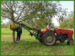 Оборудование по сбору урожая грецкого ореха ( Европа), новое и б/у