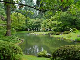 Обрезка плодовых деревьев. Консультация по уходу за садом.