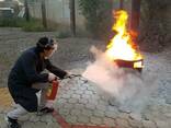 Обучение о мерах пожарной безопасности (ПТМ) - photo 3
