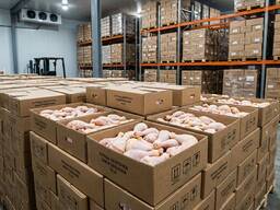 Окорочка куриные Ресурс